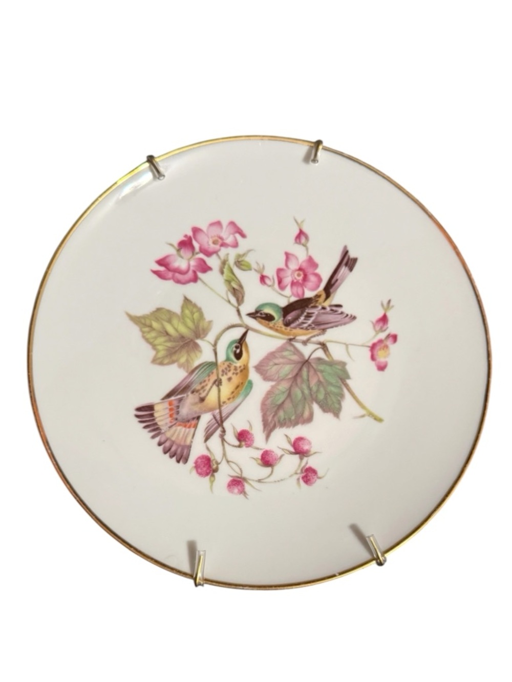 Debra Bavaria Germany Bird Wall Plate